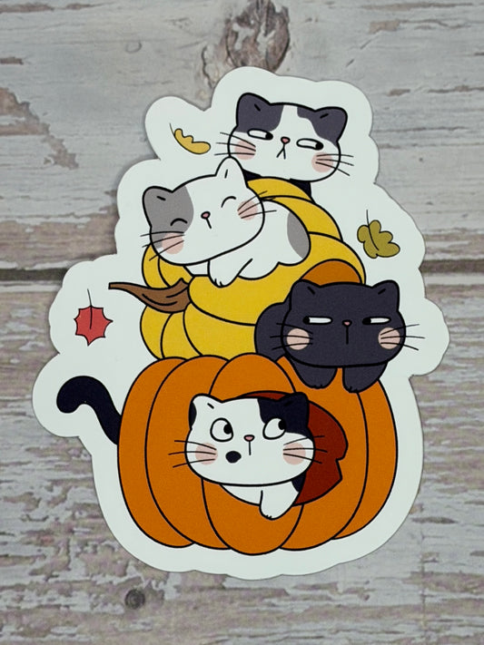 Pumpkins & Cats